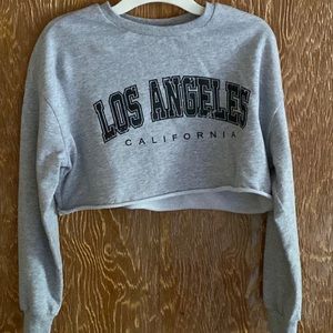 A gray cropped long sleeve tee! It has never been worn!